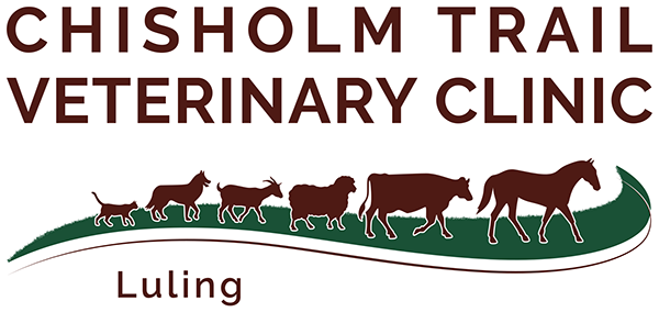 Small and Large Animal Vet - Chisholm Trail Veterinary Clinic of Luling